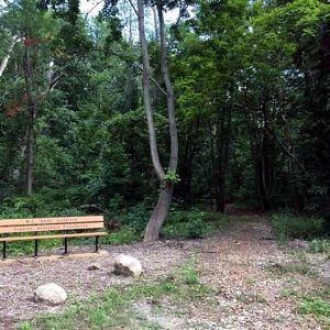 Big Oak Nature Park Saybrook Township Parks